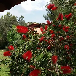 https://porto-agali.hotelschalkidiki.net